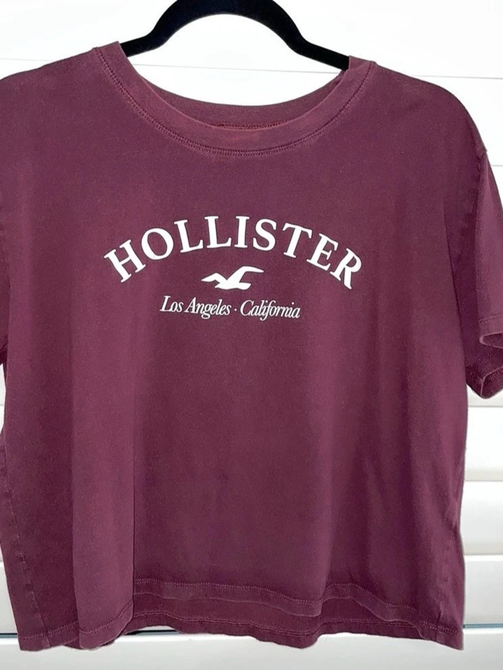 Hollister Graphic Logo Crop Tee Short Sleeve Purple